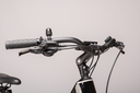 DSC9369.webp