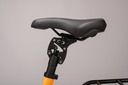 DSC9221.webp
