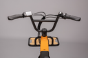 DSC9214-Modifica.webp
